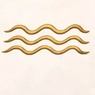 Kumbh Rashi (Aquarius)